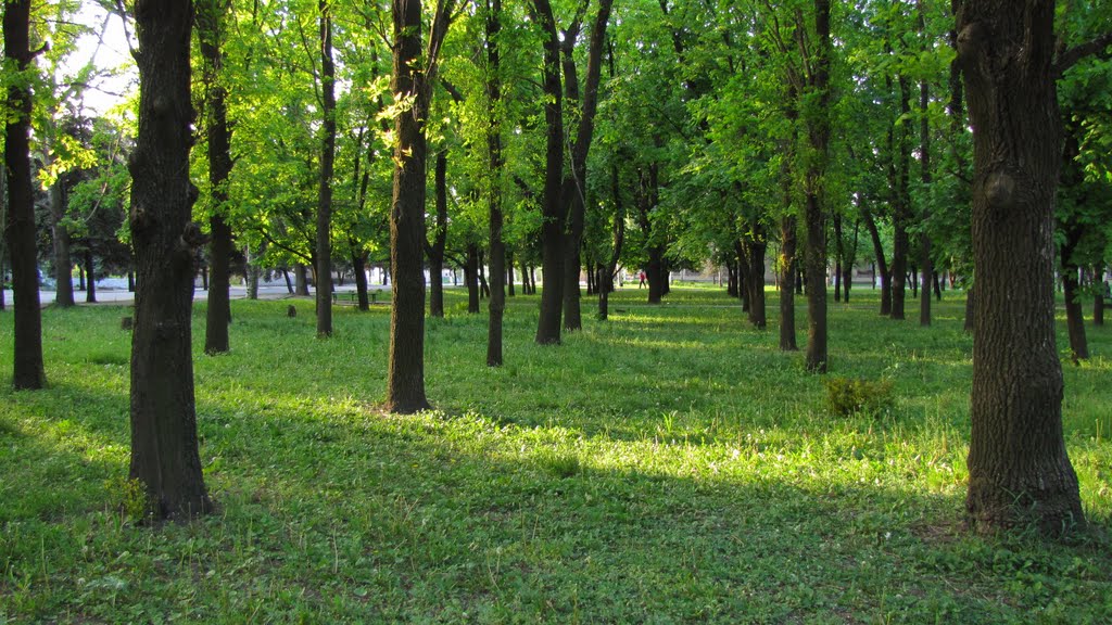 Парк (2010.05.07), Гуляйполе