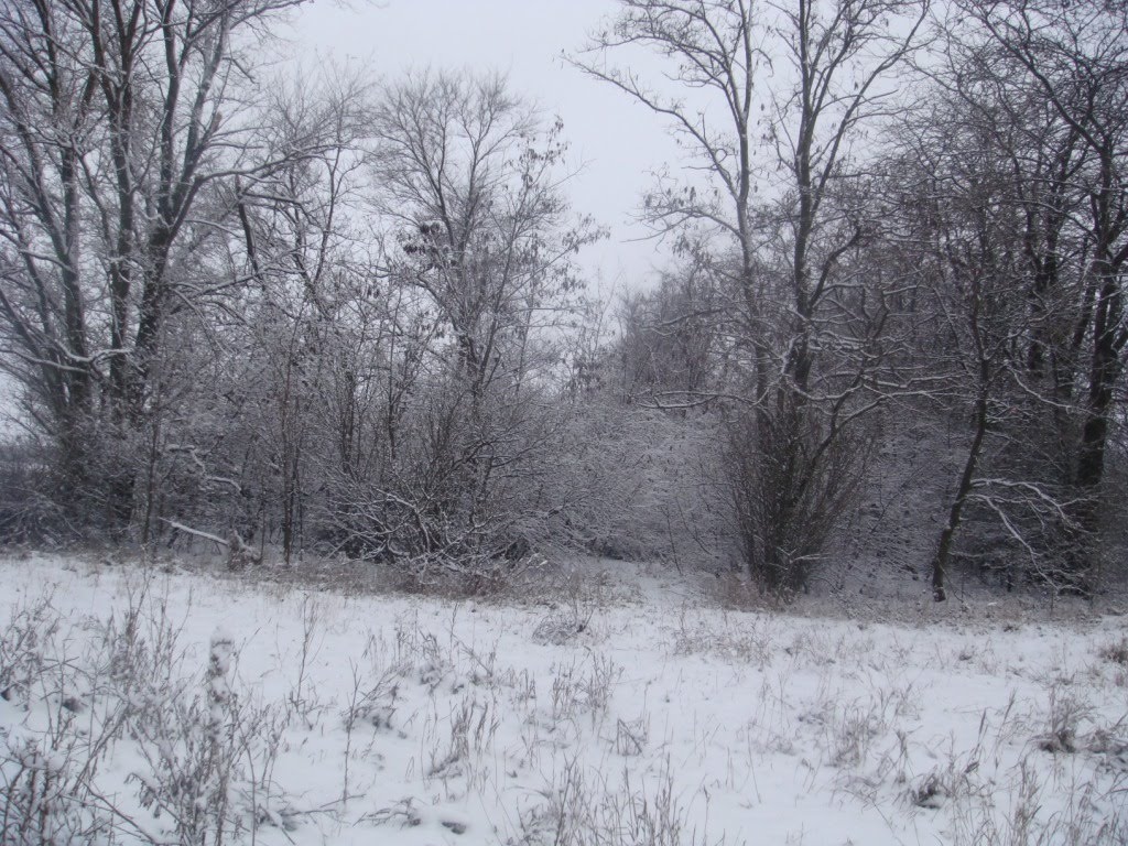 Зимний  пейзаж, Гуляйполе