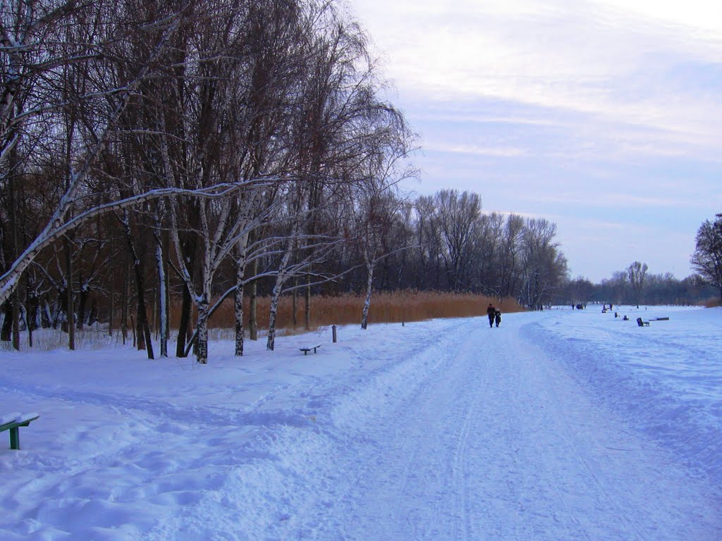 Red river valley...Winter road..., Запорожье