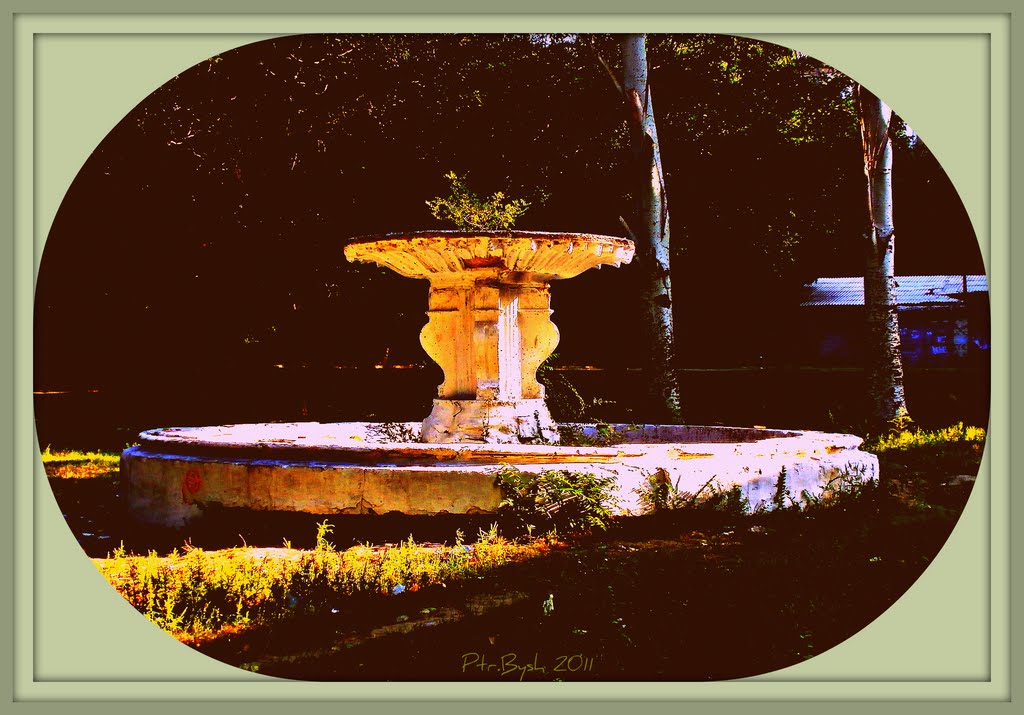 abandoned fountain 0222, Запорожье