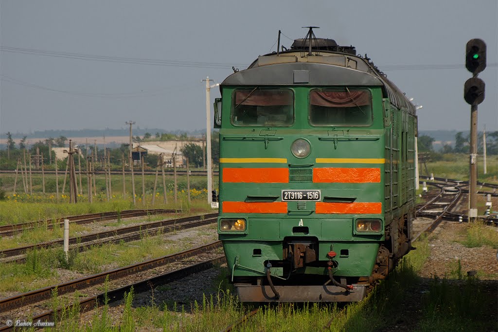 Diesel locomotive 2TE116-1516 on Kamysh-Zarya train station, Камыш-Заря