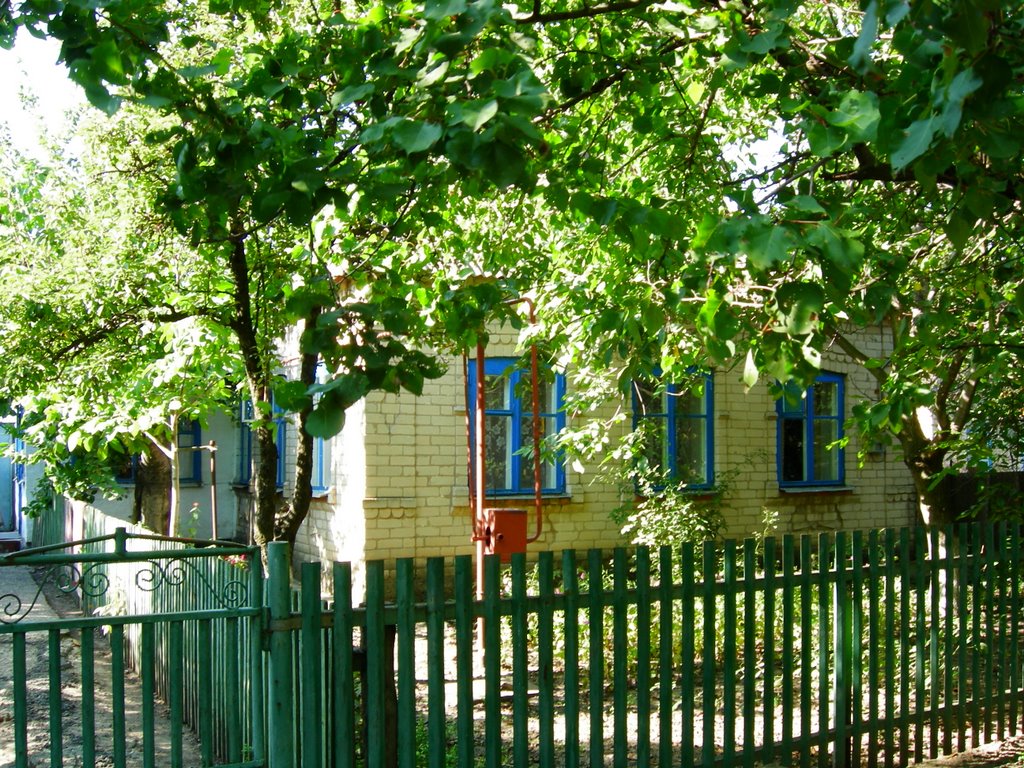 Родительский дом, Михайловка