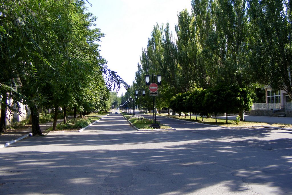 Улица Ленина, Михайловка