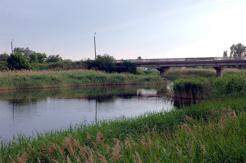 Мост через Терсу, Новониколаевка