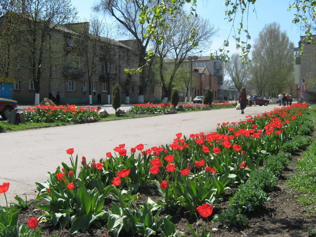 Свято-Покровский храм - Орехов