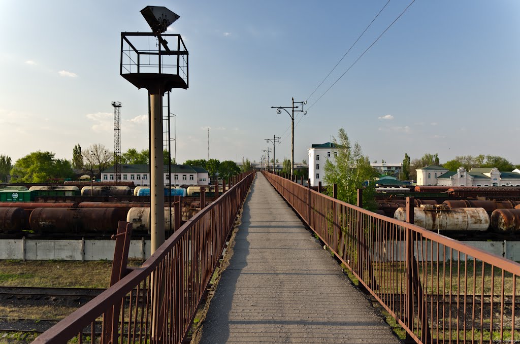 Мост, вокзал Пологи, Пологи