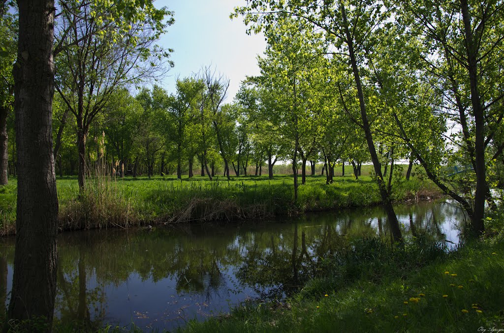Река Конка возле "Бублика", Пологи