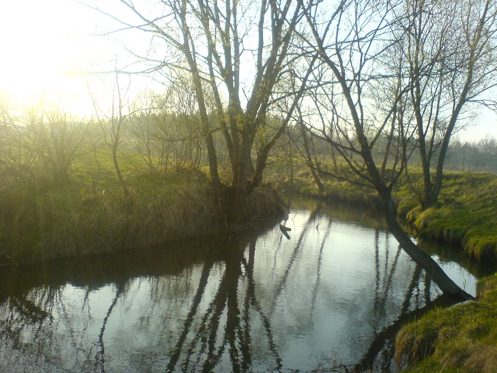 "Sivka" river, Брошнев-Осада