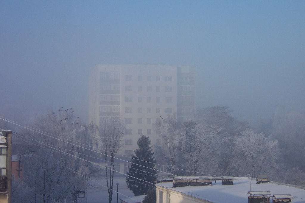 Burhstyn.Winter.2006, Бурштын