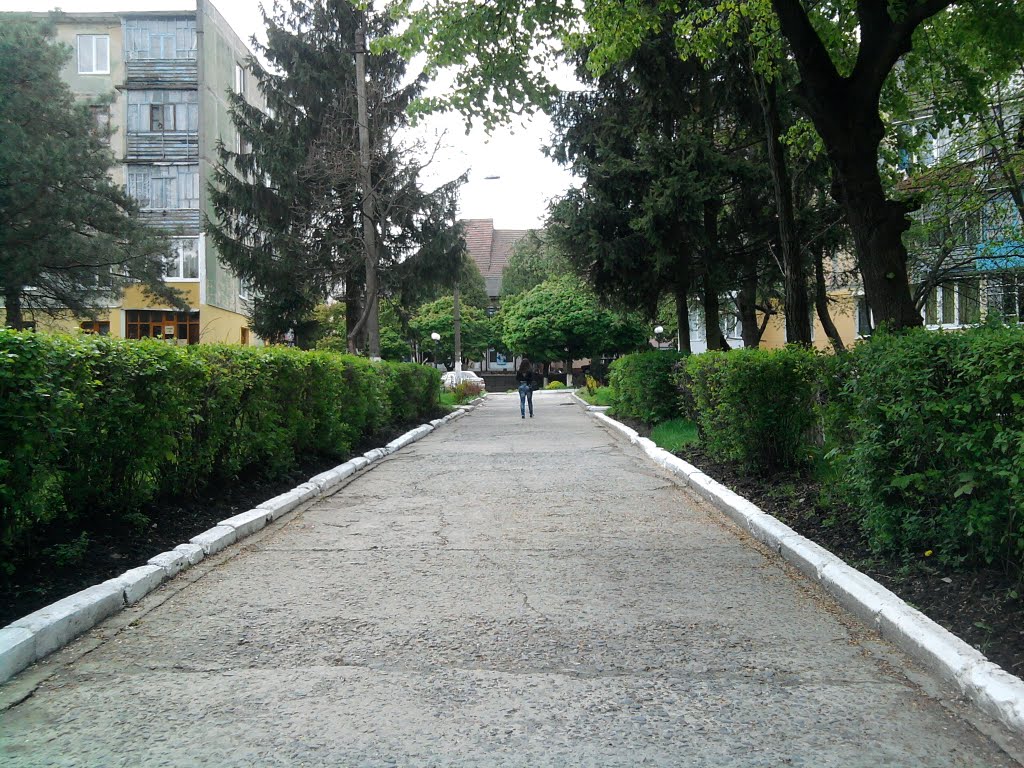 Весна 2011, Бурштын