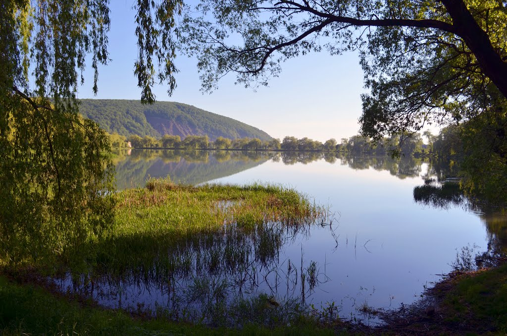 Morning on the lake, Бытков