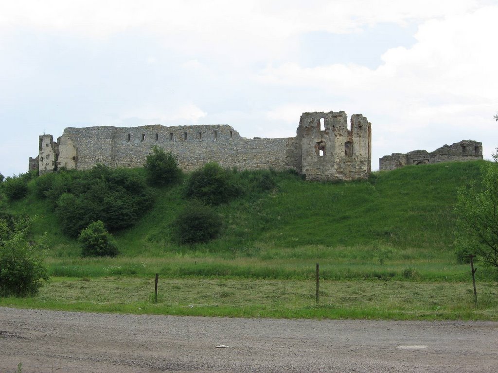 Castle in Pnyov (Замок в Пневе), Бытков