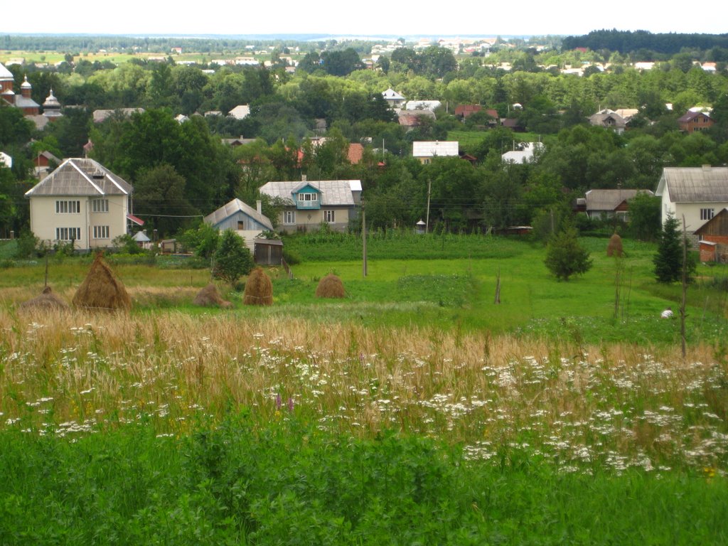 копиці, трави і Солотвин (літо, липень 2009) .., Бытков