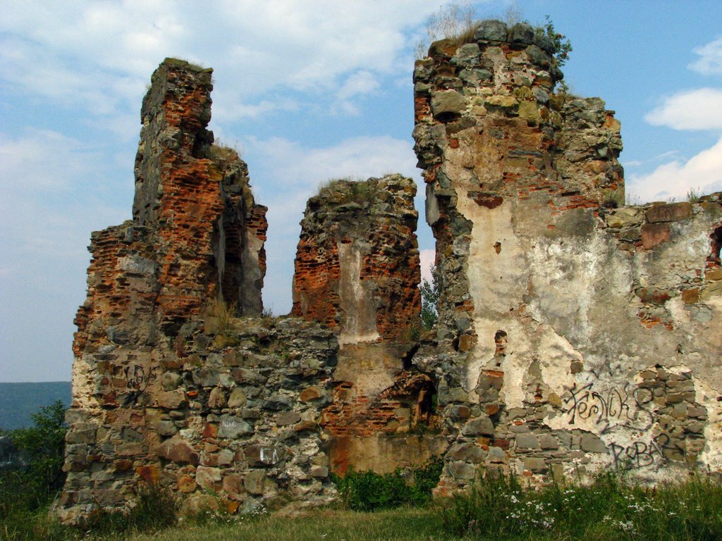 руїни Пнівського замку, Бытков