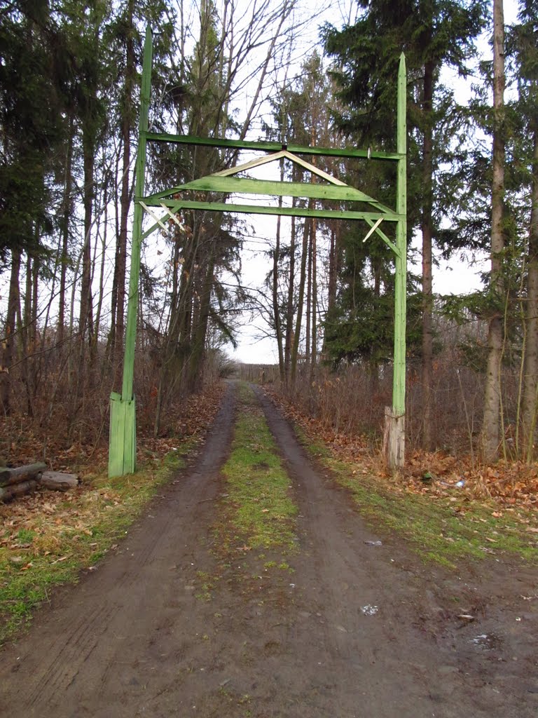 лісові ворота .., Бытков
