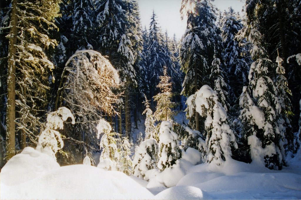 Зима в Карпатах... Carpathians Winter..., Ворохта