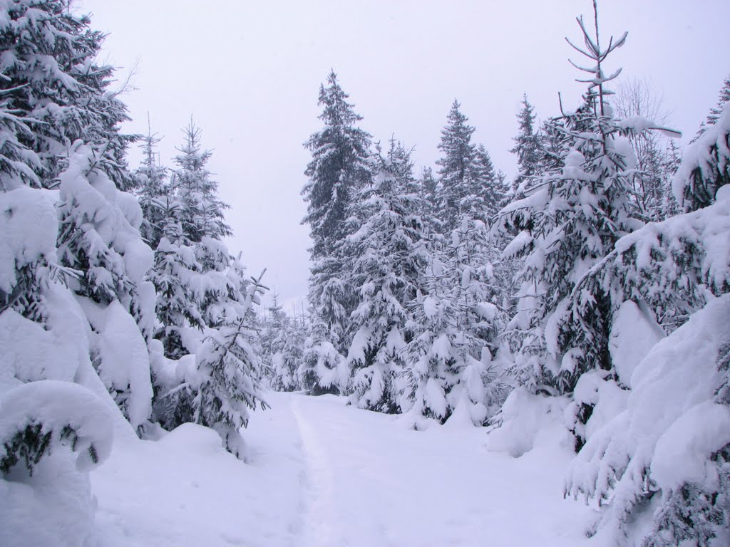snow snow Сніг...сніг), Ворохта