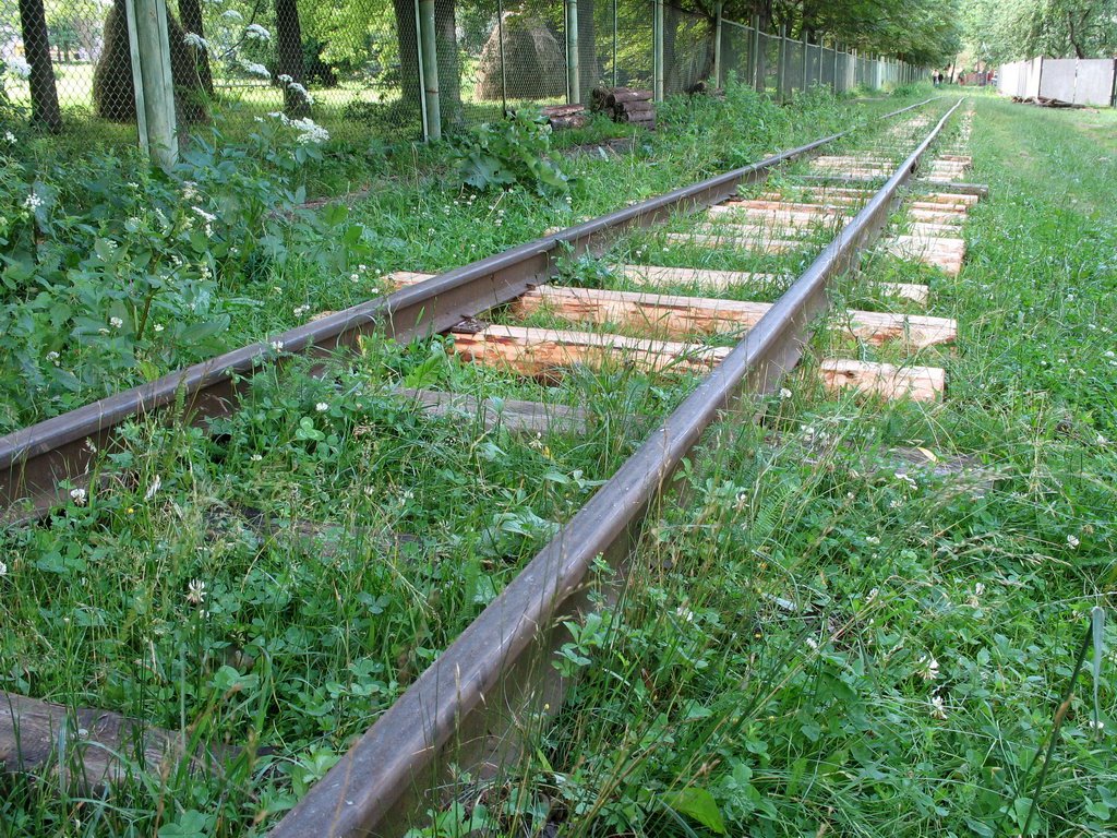 Narrow-Gage Railroad, Выгода