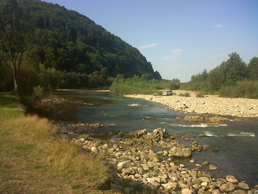 river Svicha, Выгода