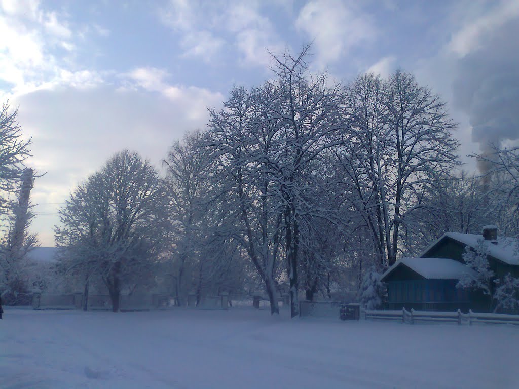 2013-зима, Выгода
