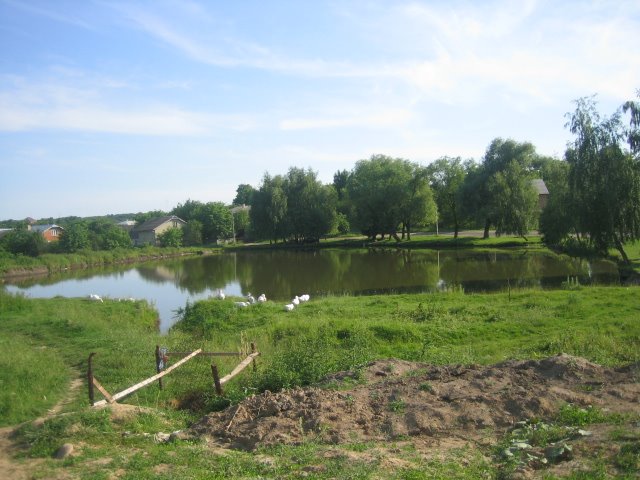 Halych Hora Pond, Галич
