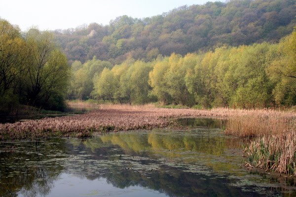 Korolivka lokality near Halych town, Галич