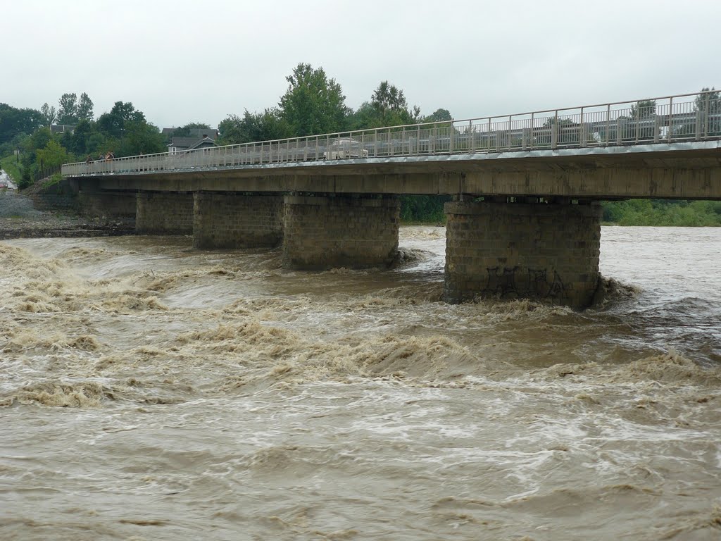 ріка Прут під час повені, Делятин