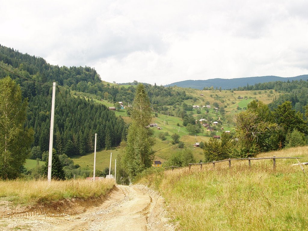 Hills near Yaremche, Делятин