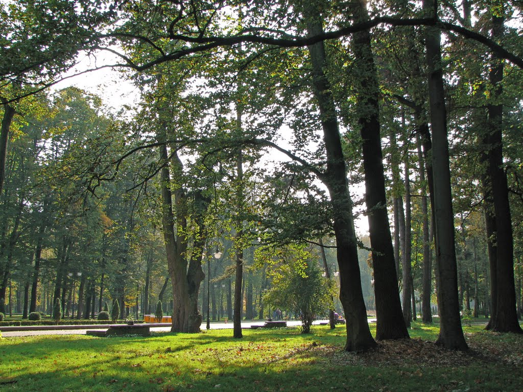 In city park, Ивано-Франковск
