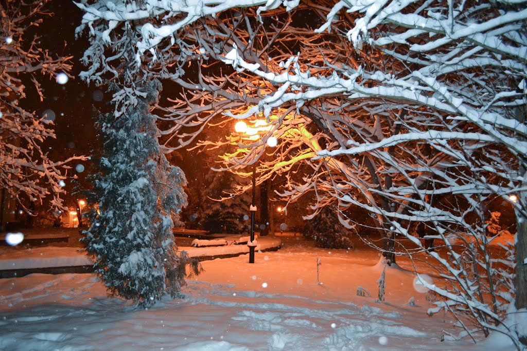 Snow Is Still Falling, Ивано-Франковск