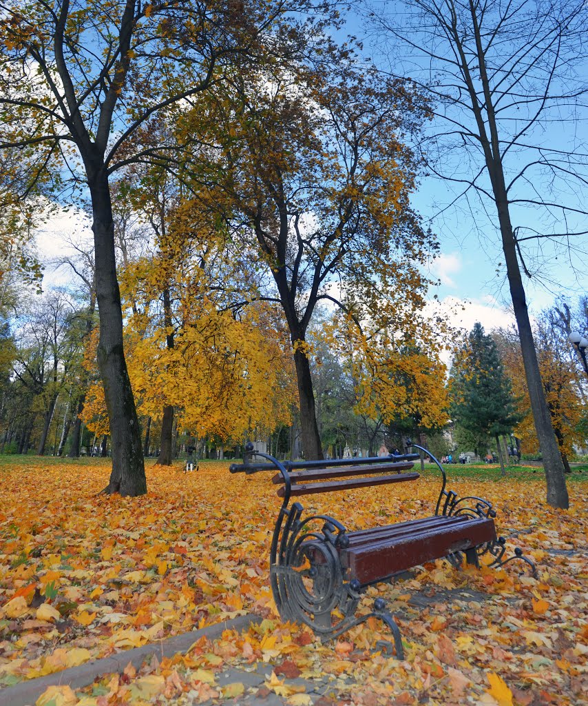 The fallen leaves, Ивано-Франковск