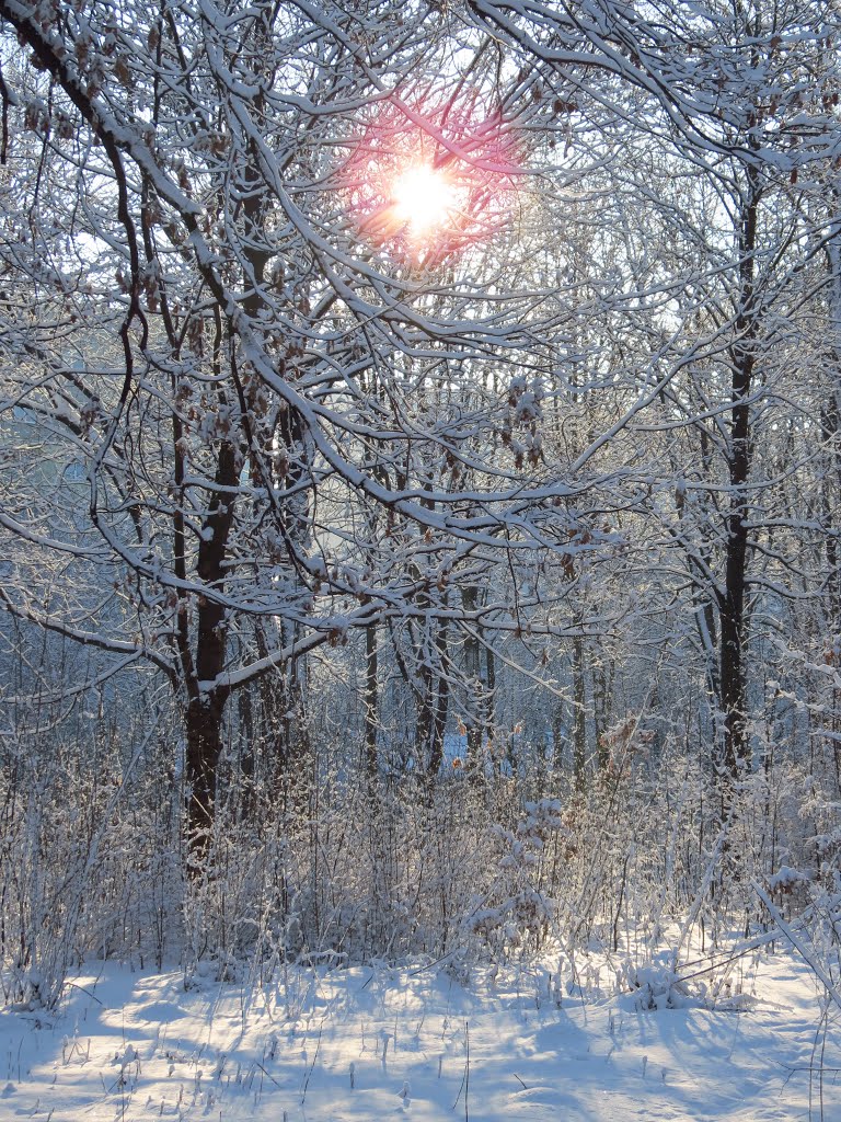 Зимовий ранок/Winter morning, Коломыя