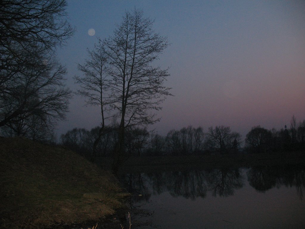 Pond in park, Надворна