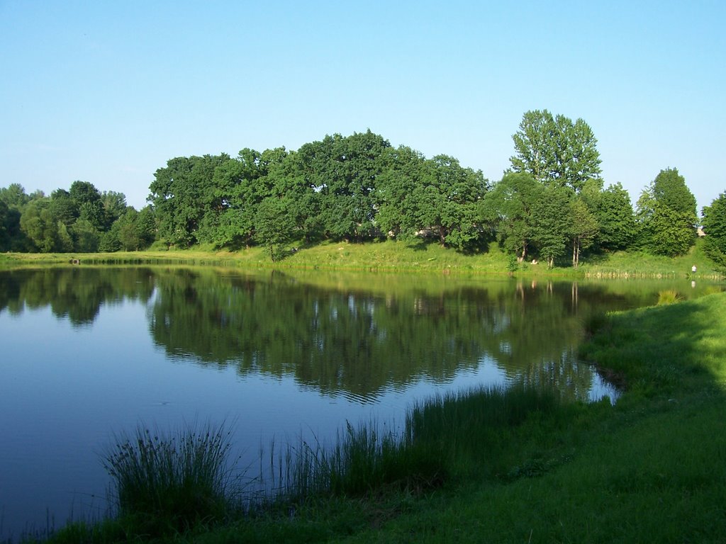 Озеро в парке, Надворна