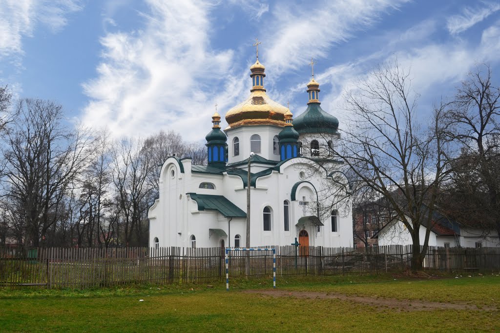 Cathedral of St. Vladimir the Great, Надворная