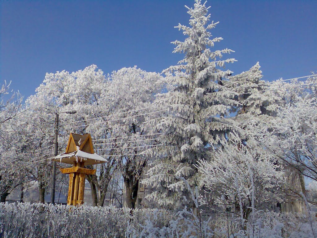 winter, Снятын