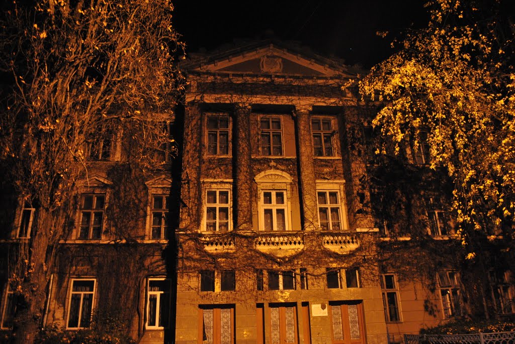 My School:), Снятын