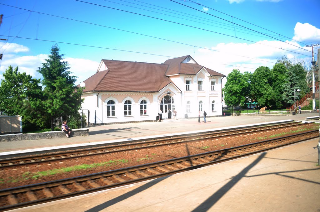 Барышевский вокзал (вид с поезда), Барышевка