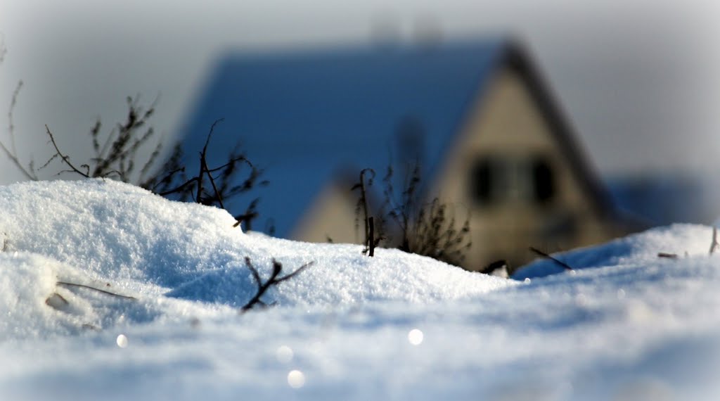 winter, Барышевка