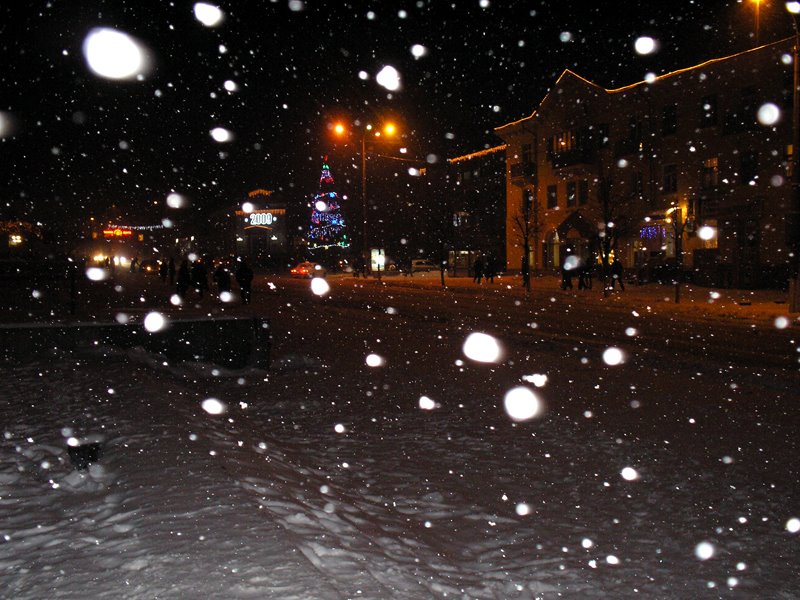 Снегопад, Белая Церковь