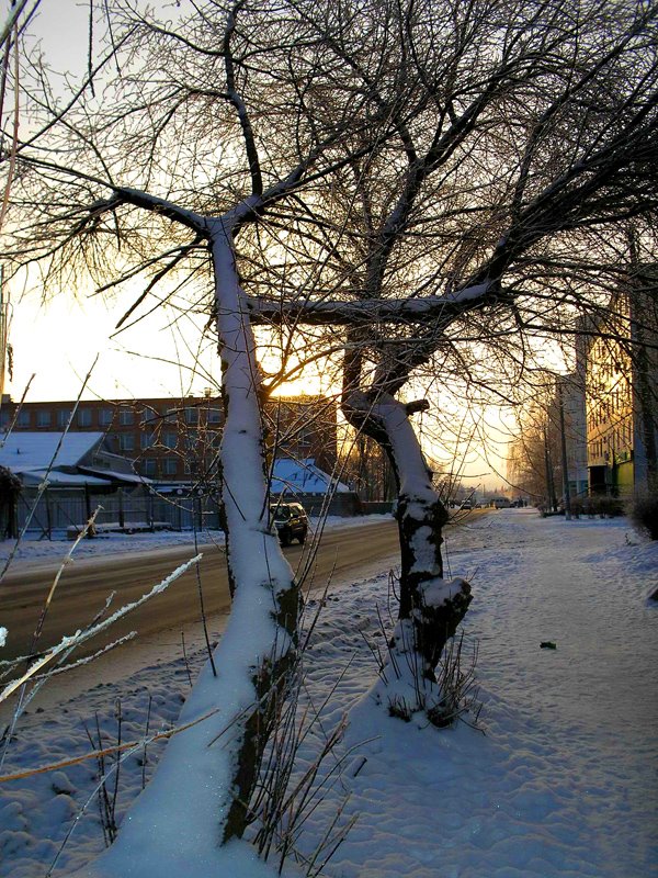 Зимушка зима..., Белая Церковь