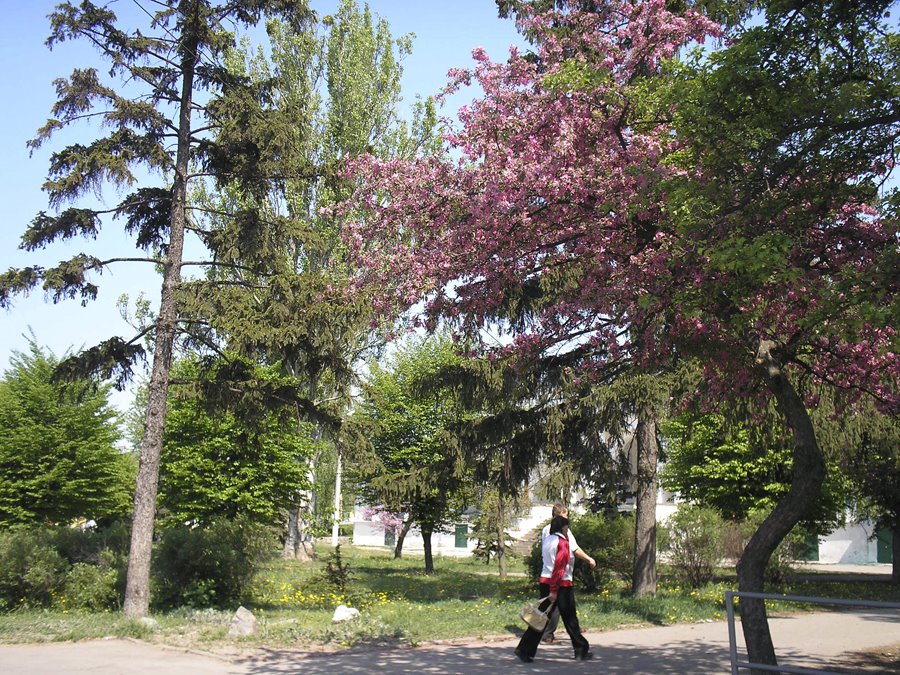 Весна 2009, Белая Церковь