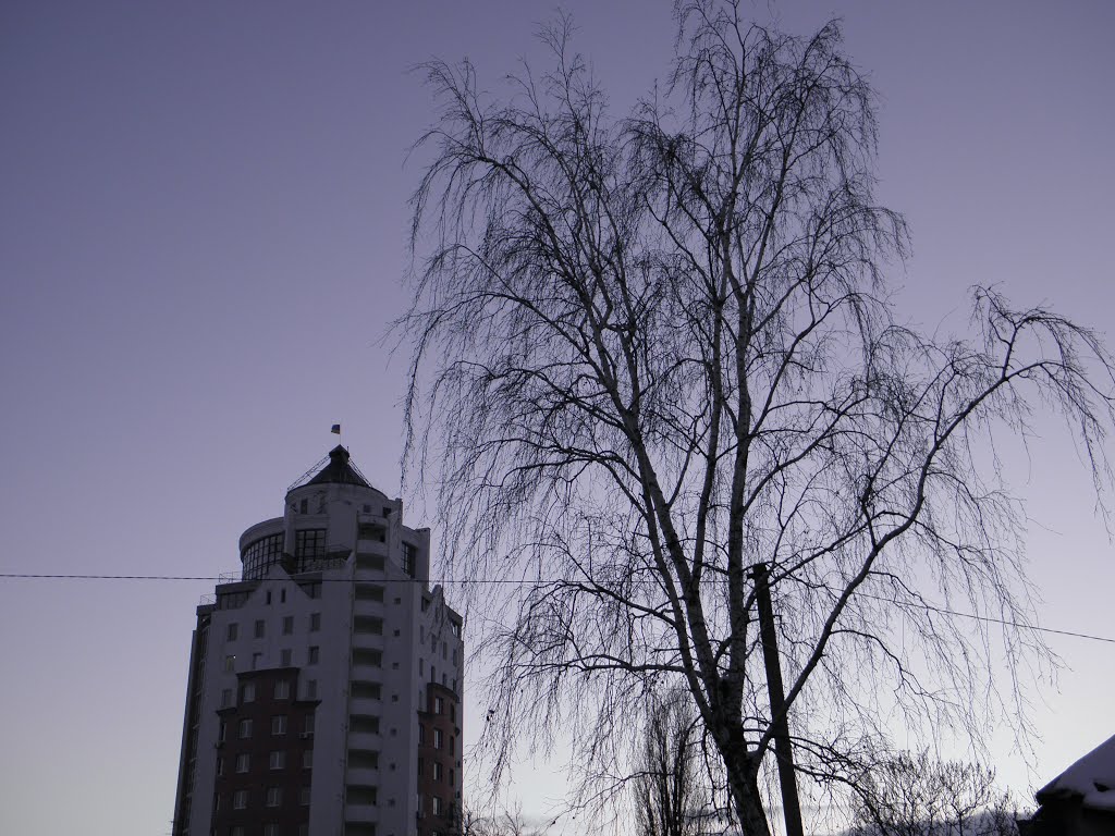 фиолетовый закат, Белая Церковь