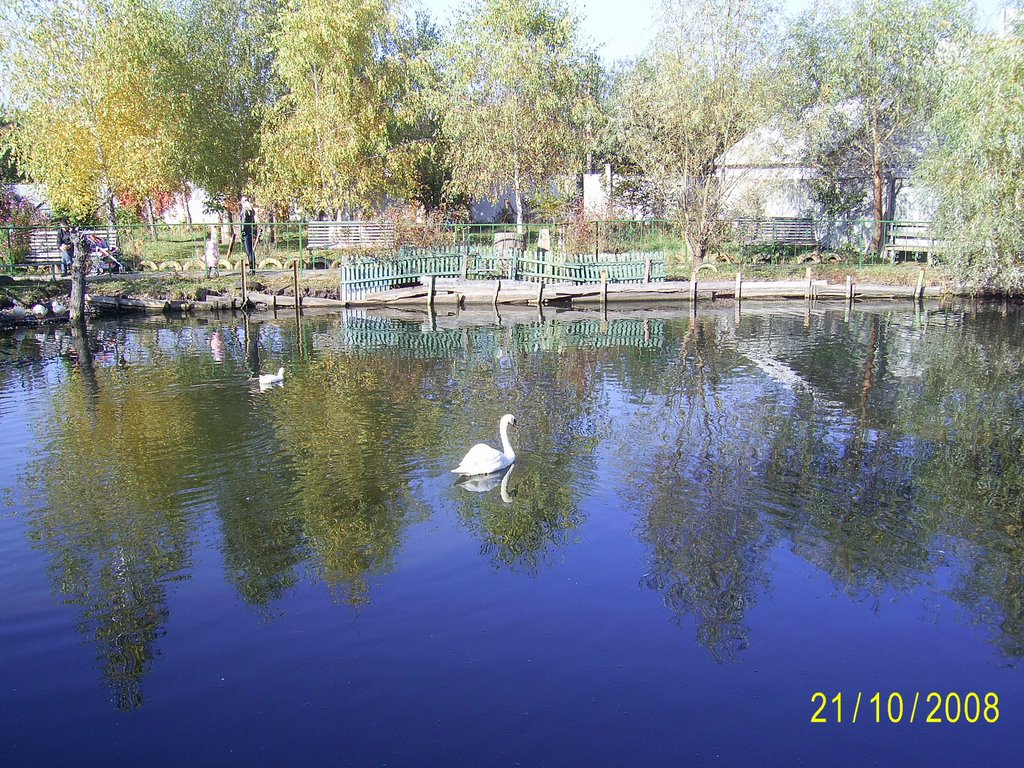 Borispol park, Борисполь