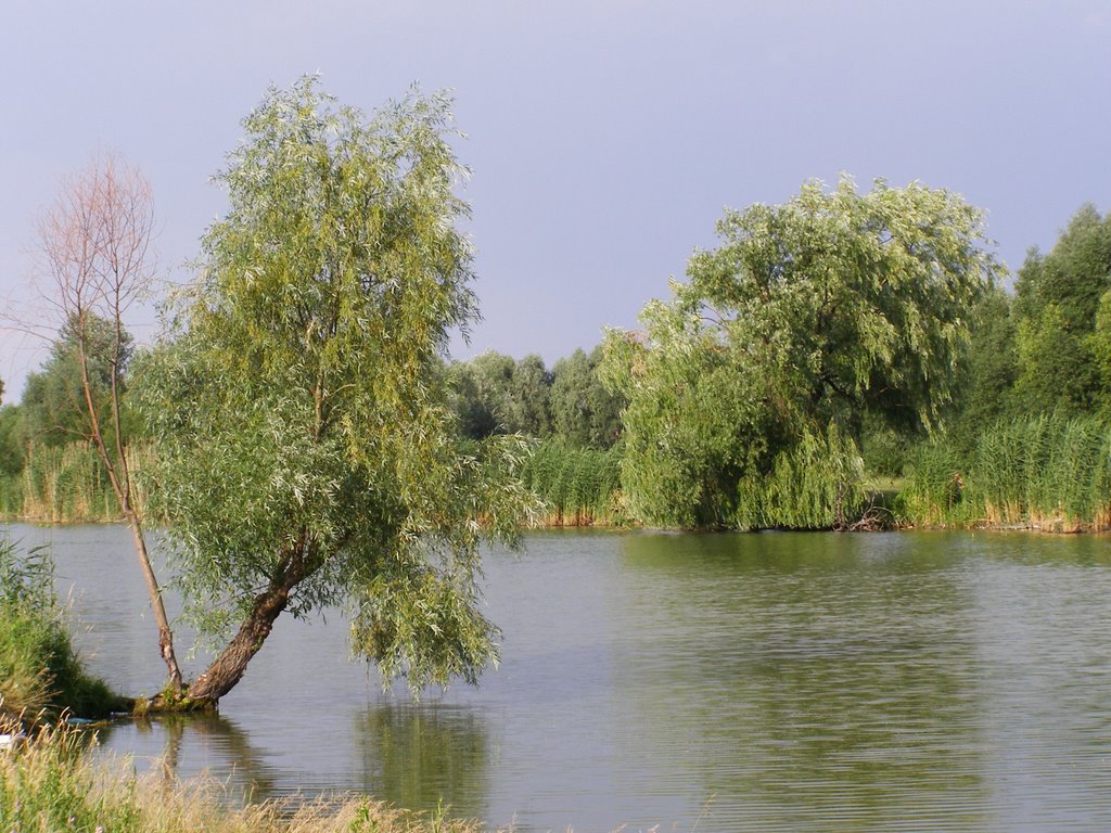 Комсомольское озеро, Борисполь