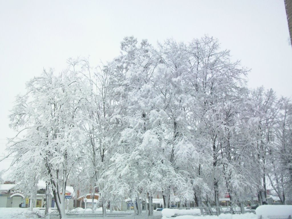 29.12.2009, Борисполь