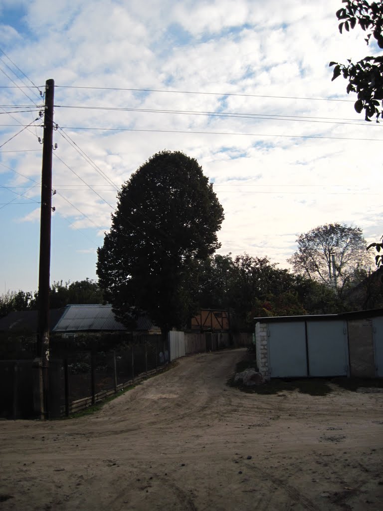 Домик под деревом, Борисполь