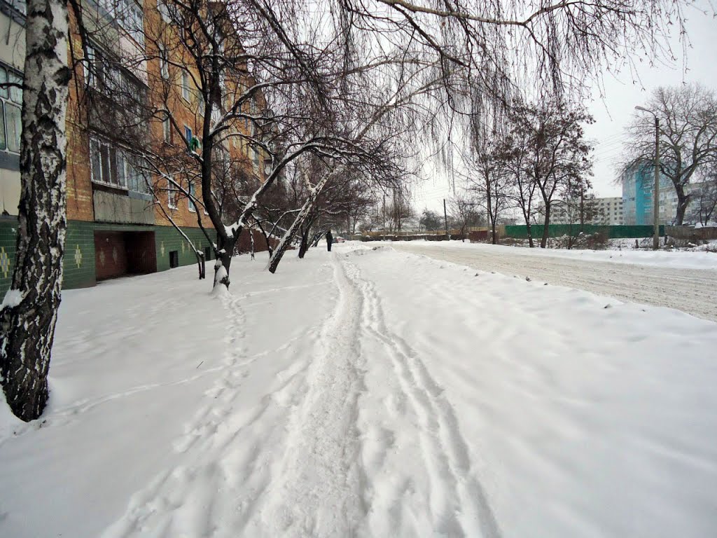 Chervonoarmiyska Street (Winter) 1, Борисполь