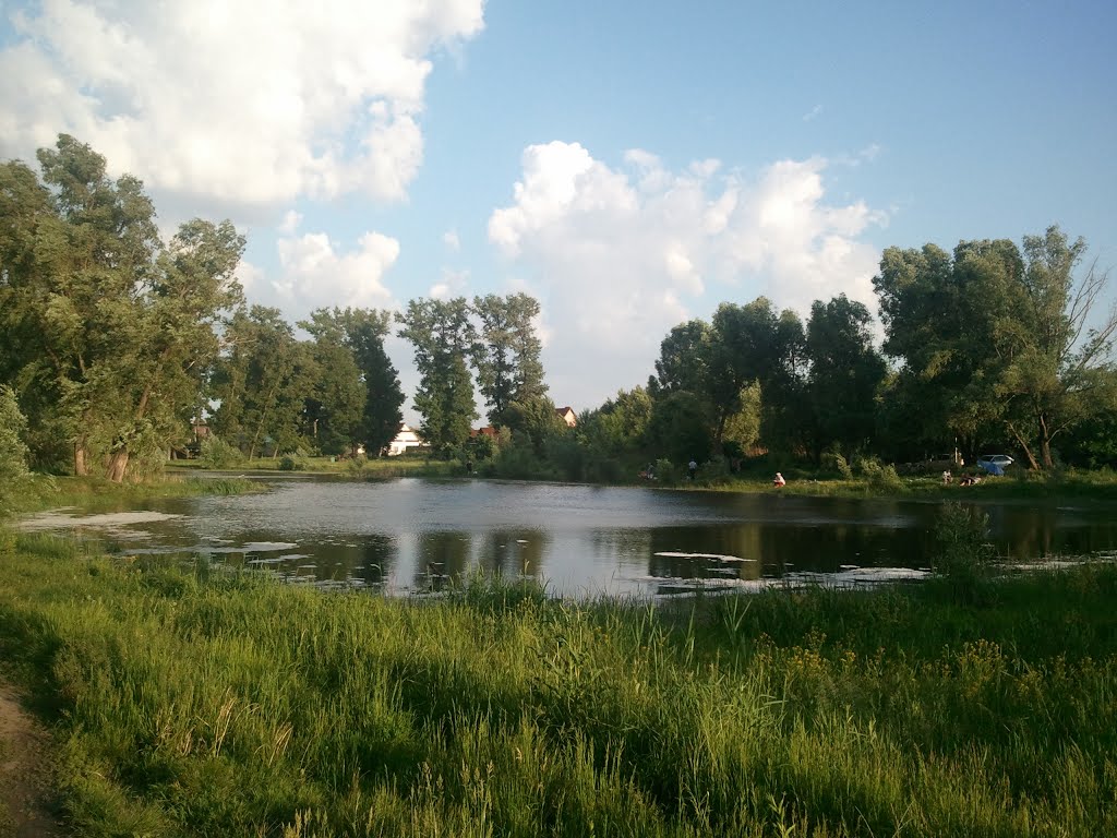 Гульковское озеро, Борисполь