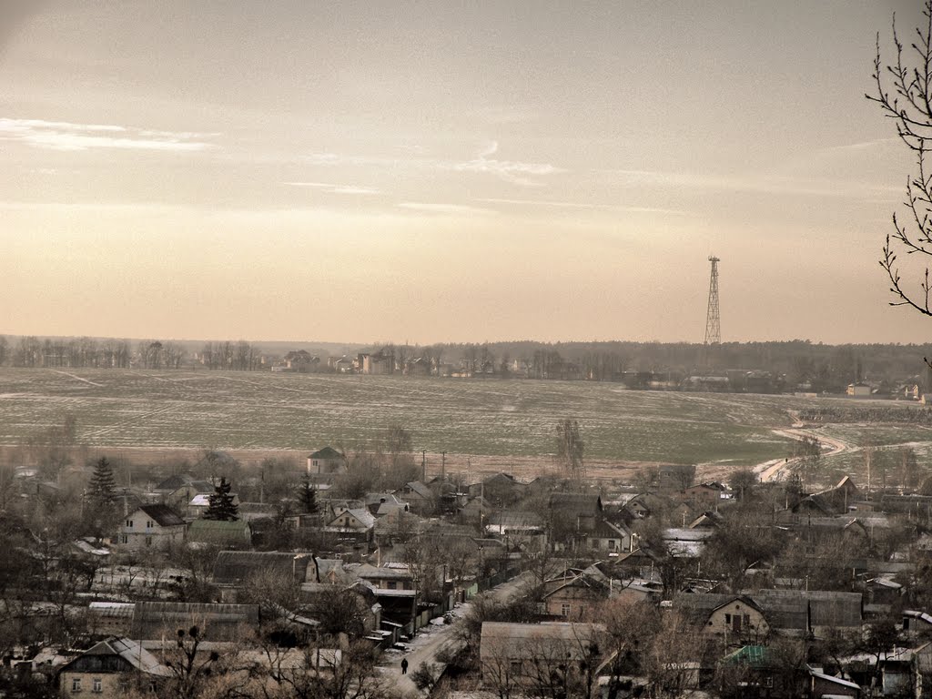 Вид на поле с горы комбинатской, Боровая